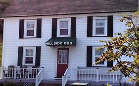 Hillside Twillingate